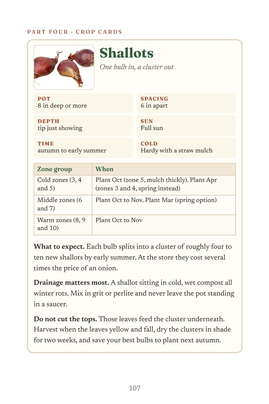 The shallots crop card