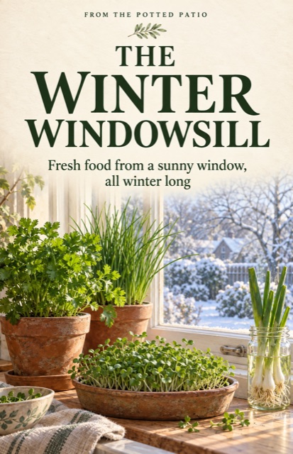 The Winter Windowsill cover